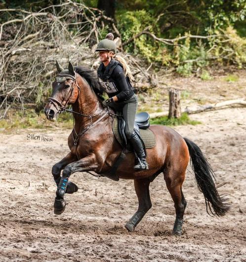 Hét leukste en uitdagendste ponykamp van Nederland!, Diensten en Vakmensen, Dieren | Paarden | Verzorging, Oppas en Les, Paardrijles of Ponykampen