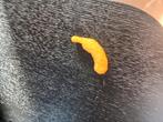 Cheeto in de vorm van een banaan, Ophalen of Verzenden