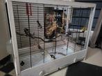 Grote vogelkooi, Dieren en Toebehoren, Ophalen, Gebruikt, Metaal, Vogelkooi