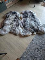 Schapenvachten 2stuks xxl dik Muflon., Ophalen of Verzenden, Nieuw