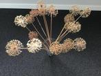 Gedroogde alliums, Huis en Inrichting, Woonaccessoires | Droogbloemen, Ophalen of Verzenden