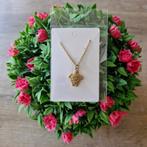 Goudkleurige rvs ketting. ' Schildpad '', Ophalen of Verzenden, Zo goed als nieuw, Goud, Overige materialen
