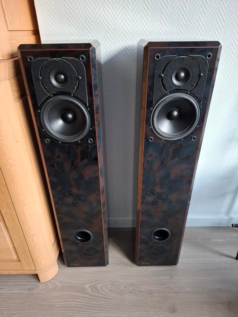Samson RESOLV 2.1 - Enceinte de monitoring