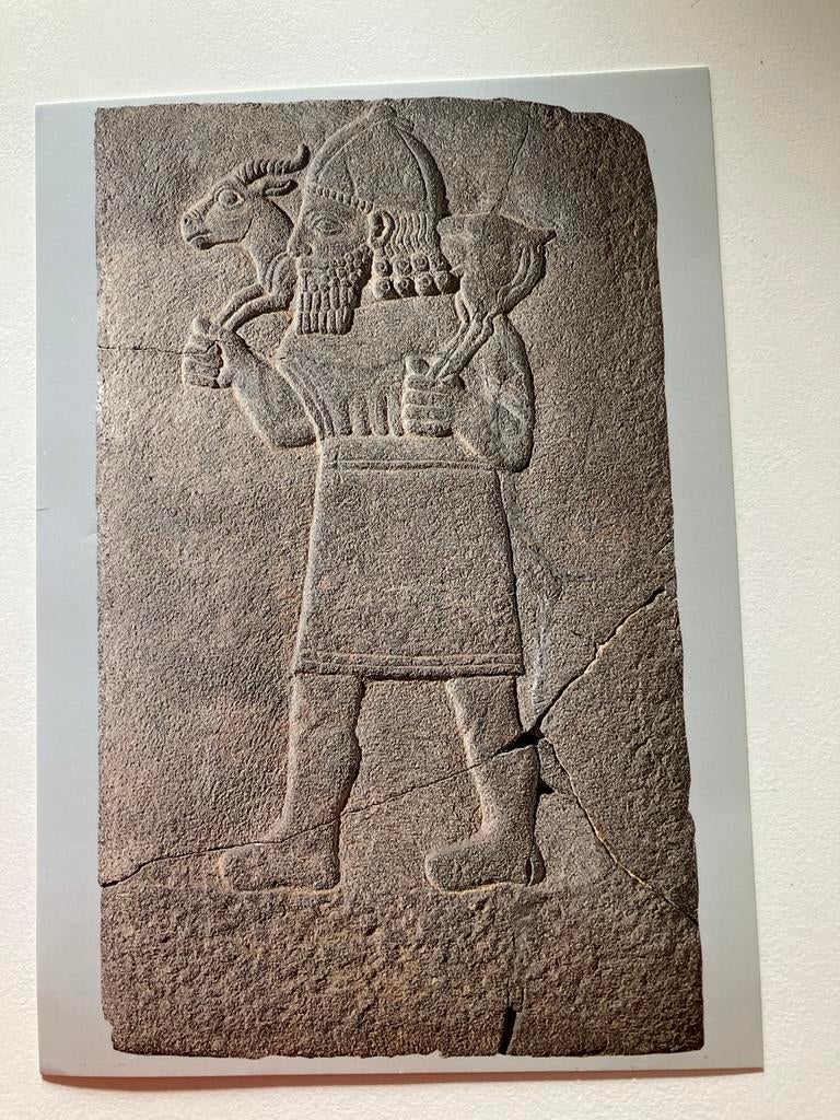 Ansichtkaart reliëf gazelle drager, Verzamelen, Ophalen, Ongelopen