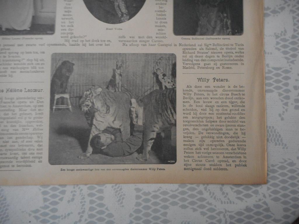 Circus Busch. Dierentemmer Willy Peters. 1906., Verzamelen, Ophalen of Verzenden, Voor 1920, Knipsel(s)