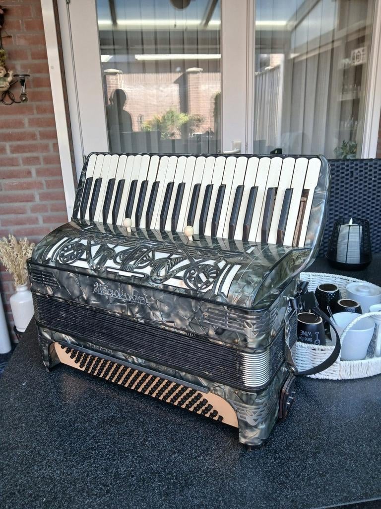 Playback zelfspelende accordeon perfecte staat, Ophalen of Verzenden, Zo goed als nieuw, Overige merken
