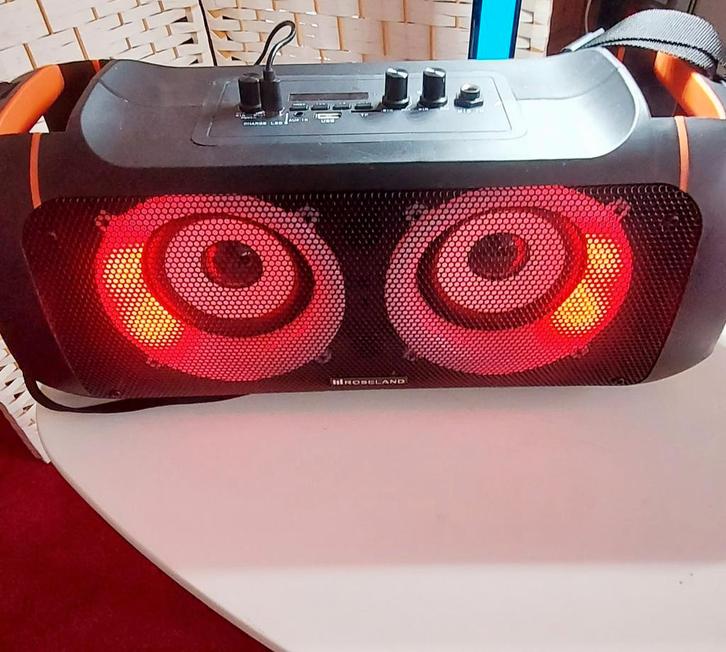 Roseland Party Speaker RS-500, Audio, Tv en Foto, Luidsprekers, Overige typen, Minder dan 60 watt, Overige merken, Ophalen of Verzenden