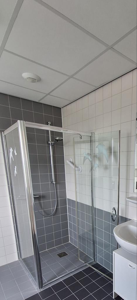 Douchescherm, Ophalen, Gebruikt, Glas