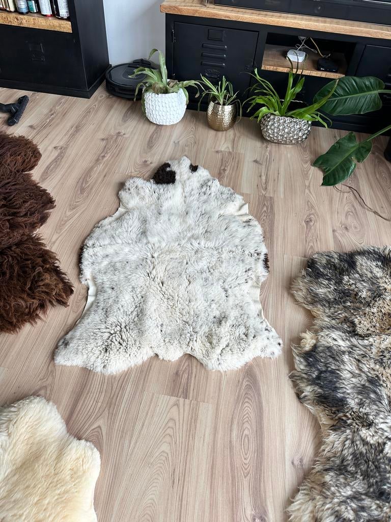 Schapenvacht bruin wit korthaar - Decoratief en zacht, Ophalen, Gebruikt, Bruin, 50 tot 100 cm