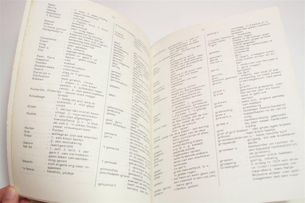 Grunneger Woordenboek & Gezegden — Met Winschoter Bargoens, Ophalen of Verzenden, Gelezen
