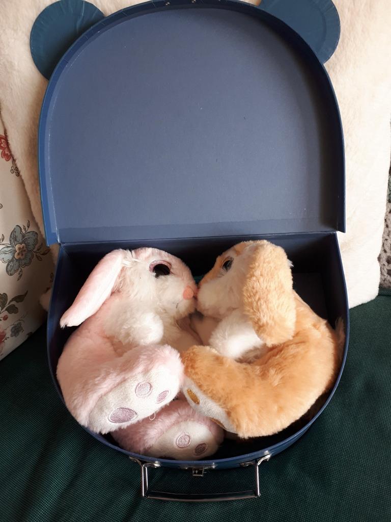 Blauw koffertje v karton met 2 konijntjes, Ophalen of Verzenden
