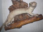 opgezette hermelijn op hout/taxidermi, Ophalen of Verzenden, Zo goed als nieuw, Wild dier, Opgezet dier