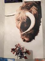 PosterJunkie Schotse Hooglander met Bloemen (60x40), Ophalen