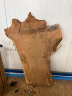 Europese walnoten bladen onbewerkt, Ophalen, Gebruikt, 25 tot 50 mm, Plank