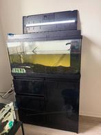 Aquarium met kast, Ophalen, Zo goed als nieuw, Leeg aquarium, Juwel