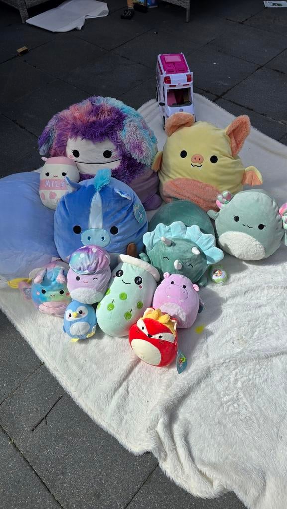 Heel veel speelgoed en kleding , alles in 1 koop!, Ophalen, Zo goed als nieuw, Overige typen