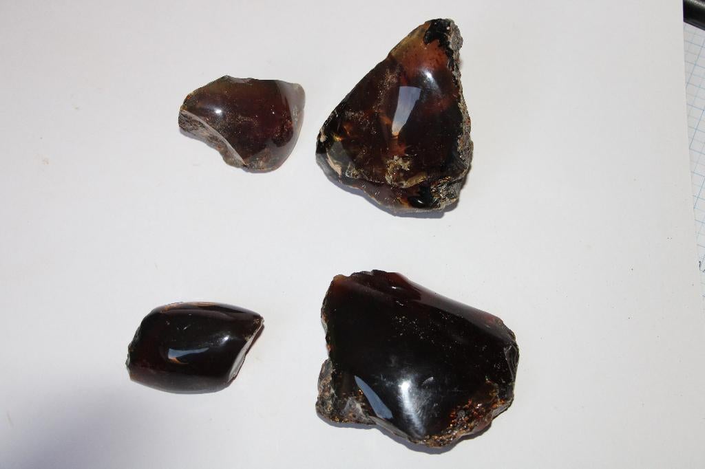 Amber (4pcs), Ophalen of Verzenden, Fossiel