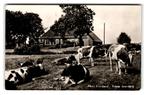Friesland, Friese boerderij, Verzenden, 1960 tot 1980, Gelopen, Friesland