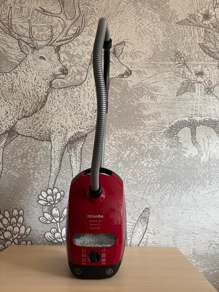 Miele kinder stofzuiger, Ophalen, Gebruikt, Jongen of Meisje