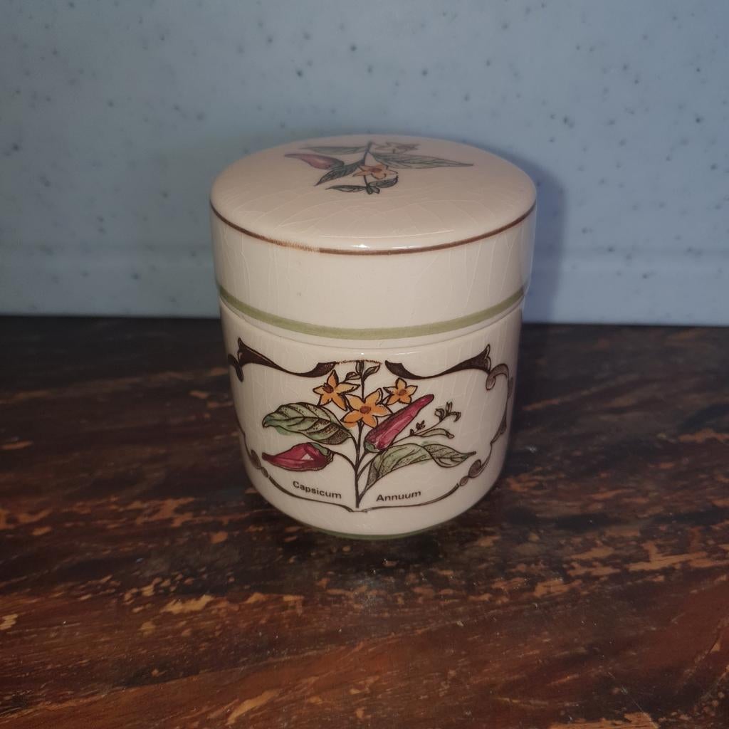 Antiek OPG Medicijnpotje - Capsicum Annuum, Ophalen of Verzenden