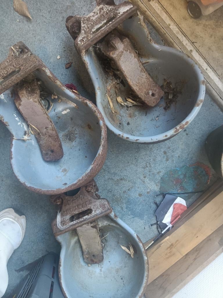 Koeien drinkbakken, Dieren en Toebehoren, Paarden en Pony's | Overige Paardenspullen, Ophalen, Overige soorten