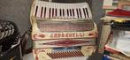 Italiaanse Gabbanelli 96-bas accordeon met musette, Muziek en Instrumenten, Accordeons, Overige merken, Met koffer, Zo goed als nieuw