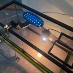 Waterdicht Paladarium 77x31x33 cm met verlichting, Ophalen