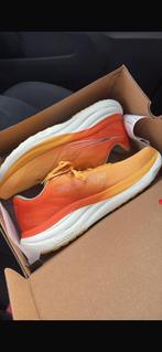 Saucony ride 19, Ophalen of Verzenden, Nieuw, Hardloopschoenen, Saucony