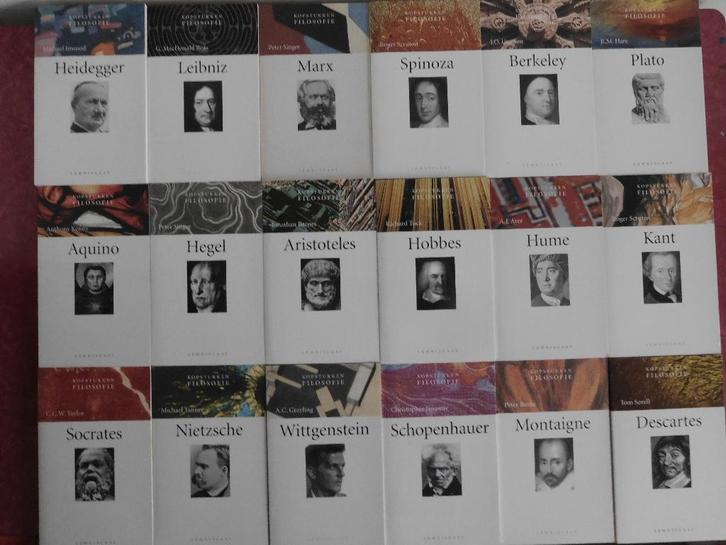 Kopstukken Filosofie  Heidegger Spinoza Plato Kant Nietzsche, Boeken, Filosofie, Zo goed als nieuw, Ophalen of Verzenden