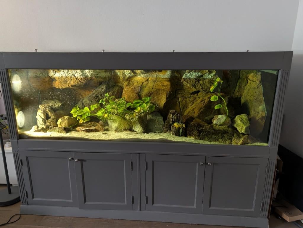 Groot Aquarium 220x70, Dieren en Toebehoren, Ophalen, Inclusief vissen, Gebruikt, Overige typen