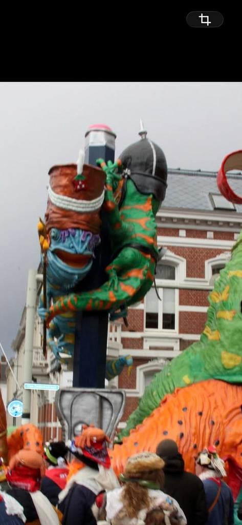 Te koop twee kameleons voor carnavalswagen, Hobby en Vrije tijd, Feestartikelen, Ophalen, Gebruikt