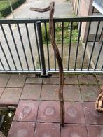 Lianen takken voor het terrarium, Dieren en Toebehoren, Reptielen en Amfibieën | Toebehoren, Ophalen, Gebruikt, Terrarium of Paludarium