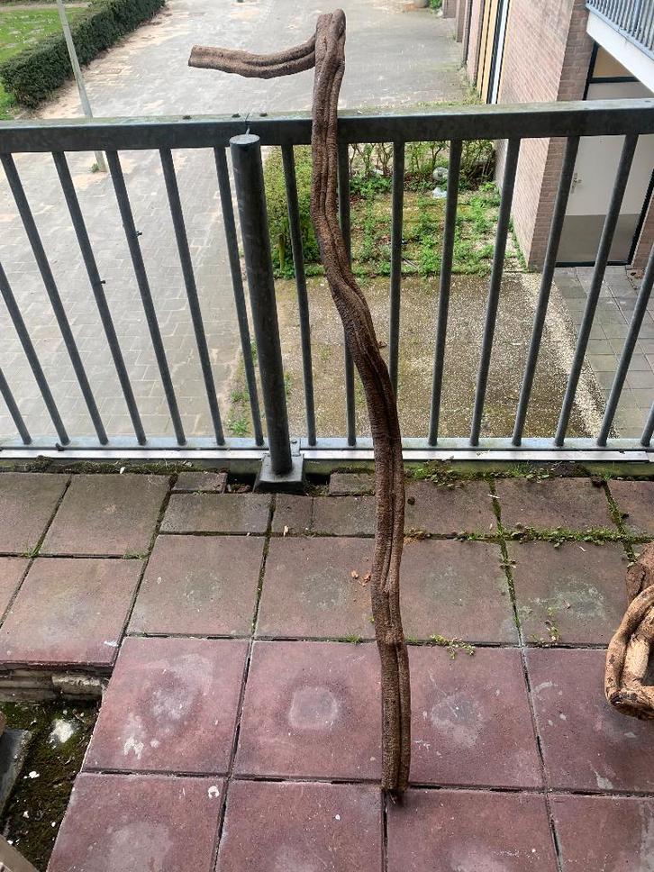 Lianen takken voor het terrarium, Dieren en Toebehoren, Reptielen en Amfibieën | Toebehoren, Gebruikt, Terrarium of Paludarium