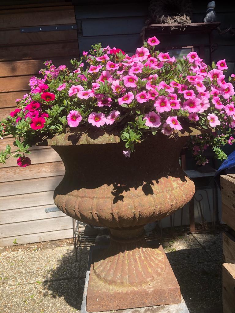 2 grote gietijzeren tuinvazen, Ophalen, Gebruikt