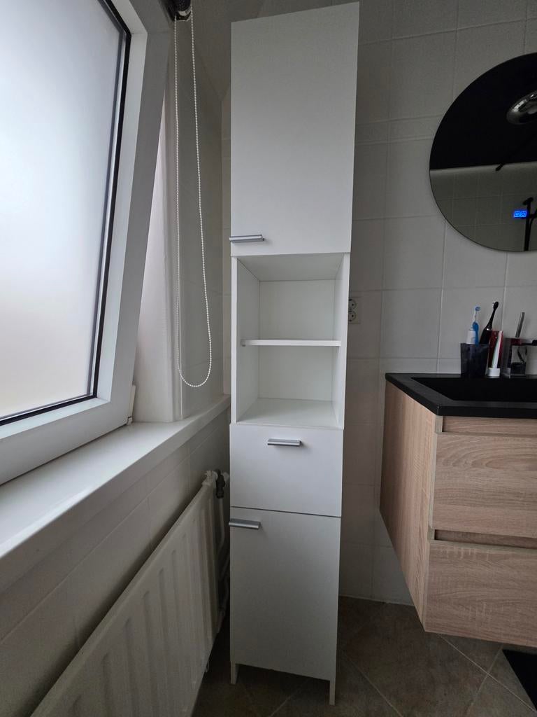 Badkamerkast 185.5hx31.3bx33.0d, Ophalen, (Half)hoge kast, Minder dan 50 cm, Gebruikt