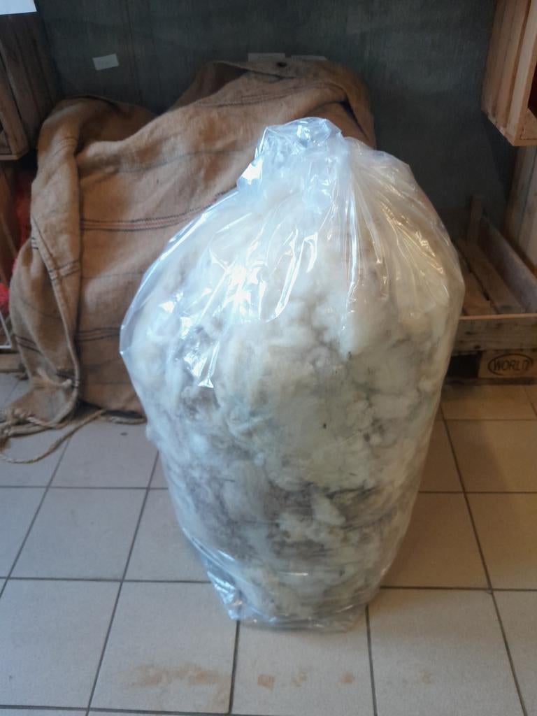 Wol witte schapenwol, Dieren en Toebehoren, Ophalen, Nieuw