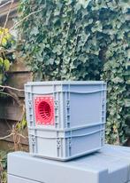 Val Aziatische hoornaar verbeterde model, Dieren en Toebehoren, Bijen