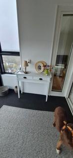 Witte sidetable met twee lades, Ophalen