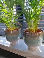 2 HK living plantenpotten te koop excl de plant, Ophalen, Rond, Aardewerk, Minder dan 40 cm