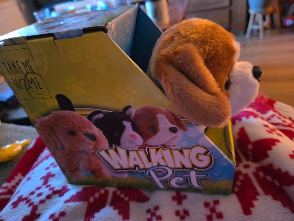 Klein hondje, Ophalen of Verzenden, Hond