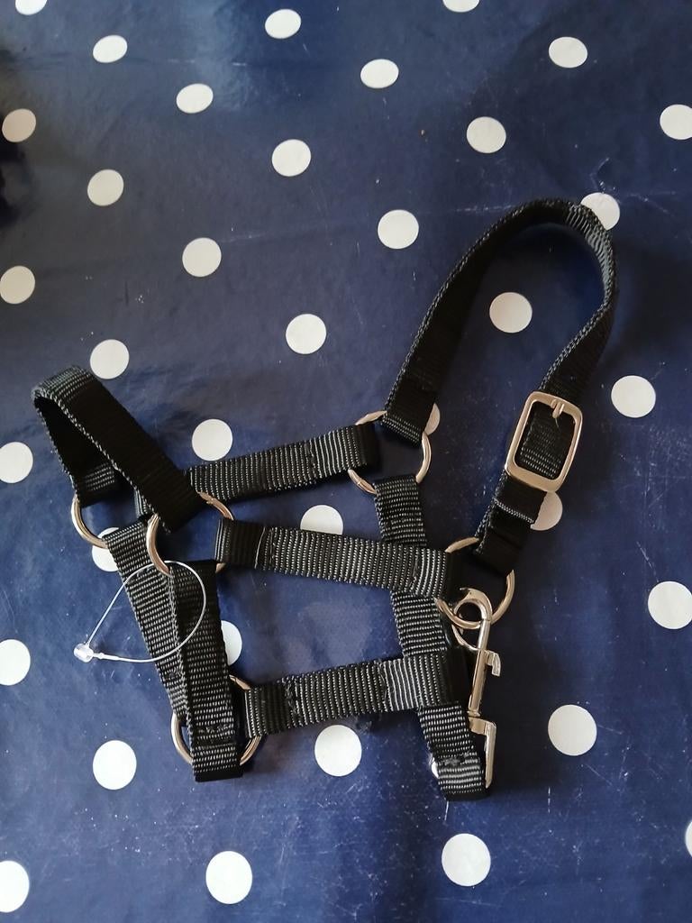 Hobby horse halsters, Ophalen, Nieuw, Overige soorten