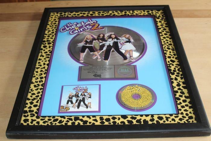 Cheetah Girls - The Cheetah Girls 2 OST Platinum LP Award, Ophalen of Verzenden, Gebruikt, Poster, Artwork of Schilderij