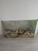 Oude vintage schoolplaat r tupy nijlpaarden 92x67 cm, Ophalen, Natuur en Biologie