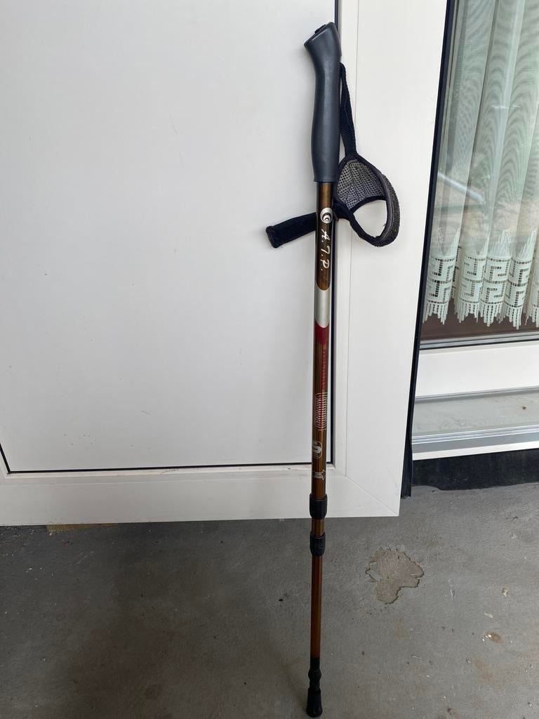 wandelstok, Ophalen of Verzenden