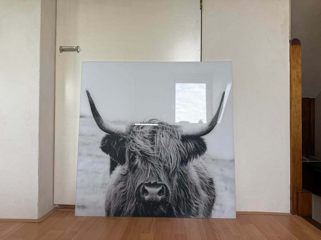 Schotse hooglander van glas, Ophalen, Nieuw, Schilderij, 75 tot 100 cm