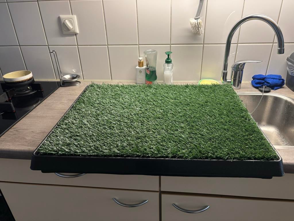 Honden toilet, Ophalen, Nieuw