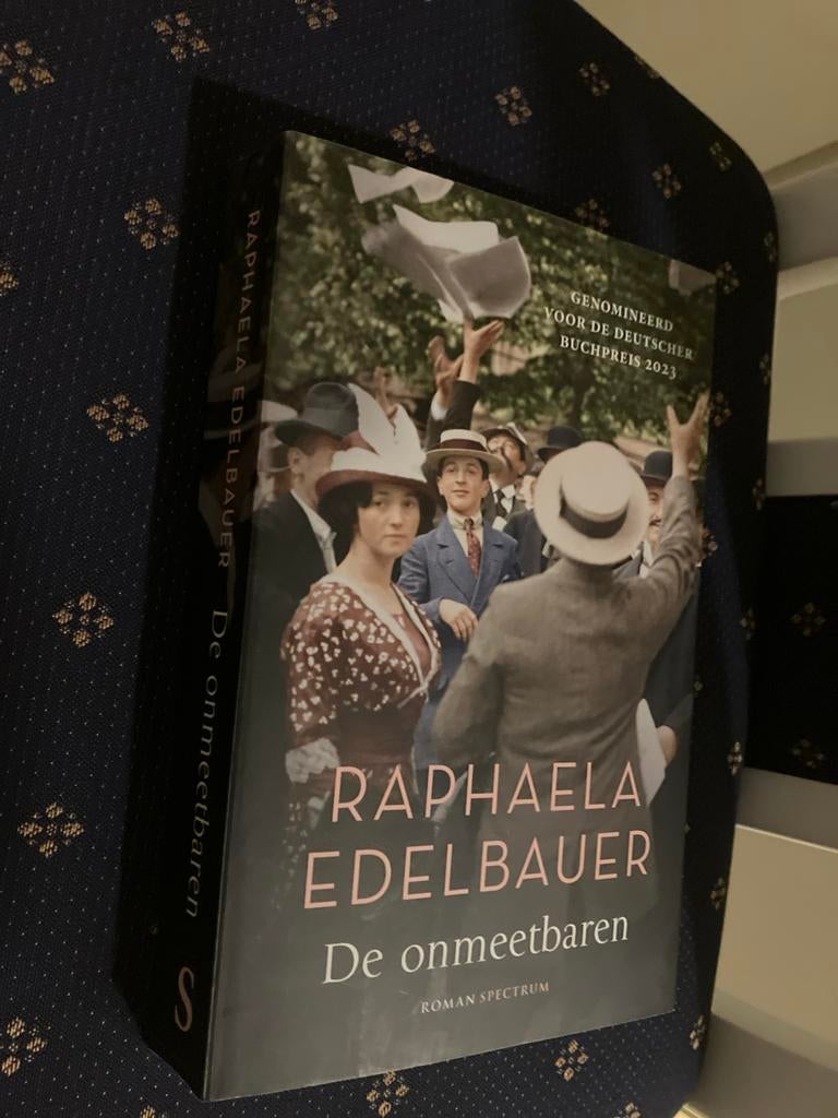 De Onmeetbaren - Raphaela Edelbauer, Boeken, Romans, Zo goed als nieuw, Nederland, Ophalen of Verzenden