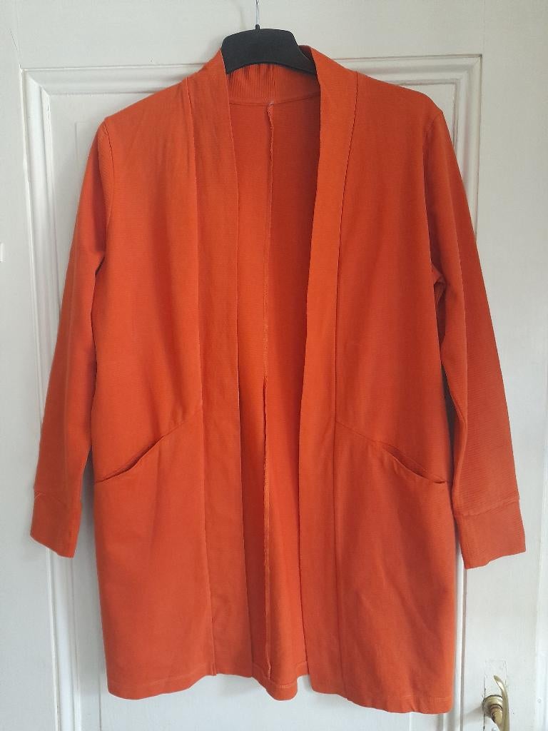 Damesvest, Ophalen of Verzenden, Zo goed als nieuw, Maat 42/44 (L), Oranje