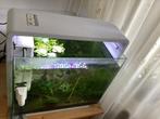 Aquarium, Ophalen, Gebruikt, Gevuld zoetwateraquarium