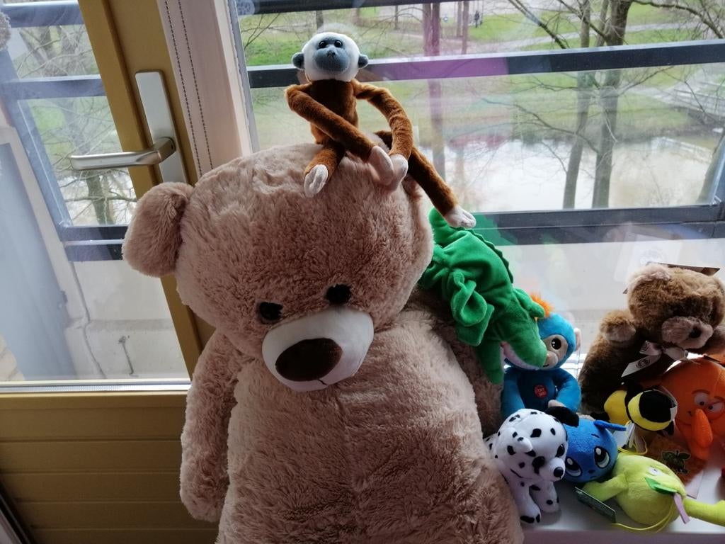 Knuffels nieuw, Ophalen, Nieuw, Overige typen